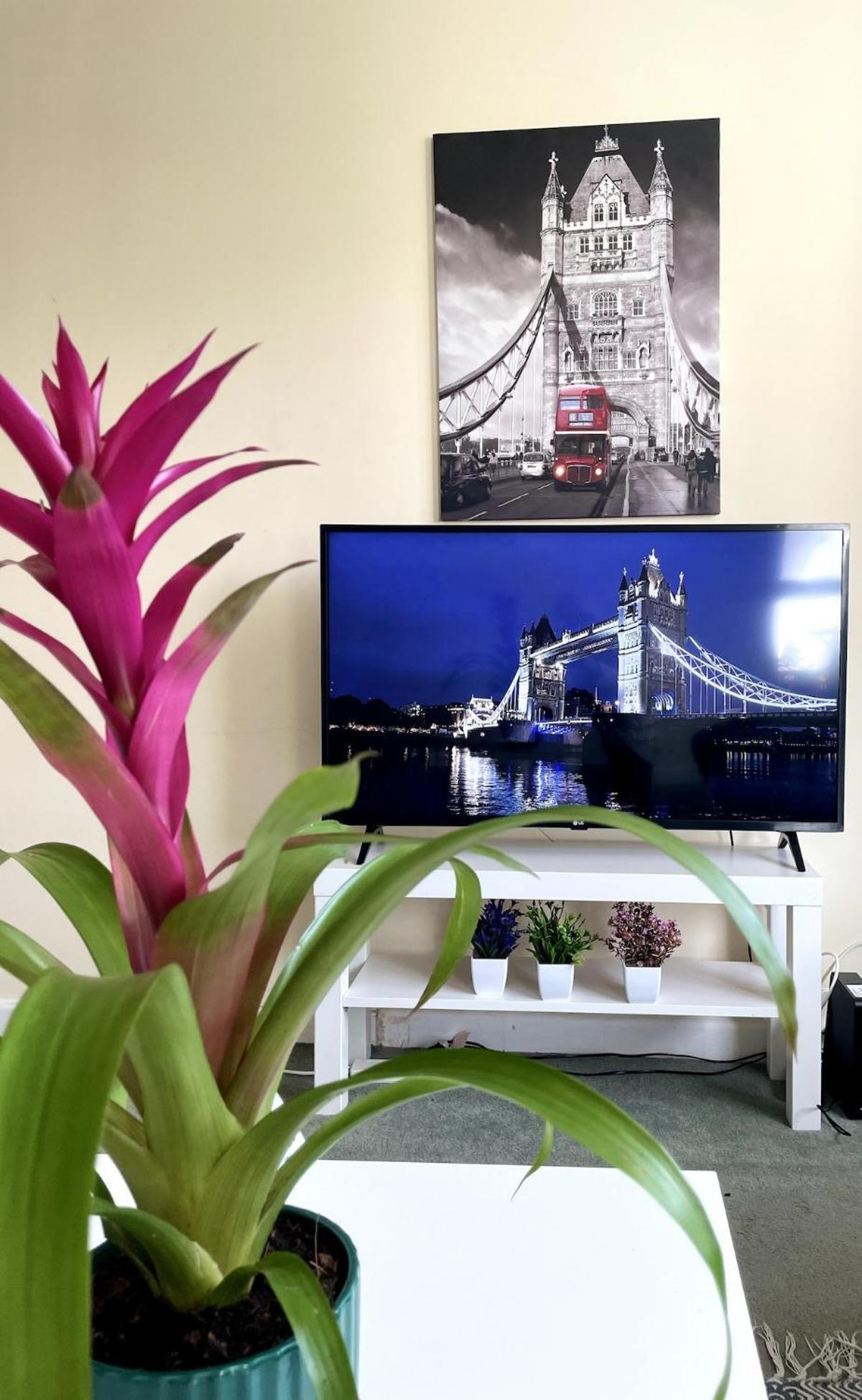 Apartamento Charming Flat In
