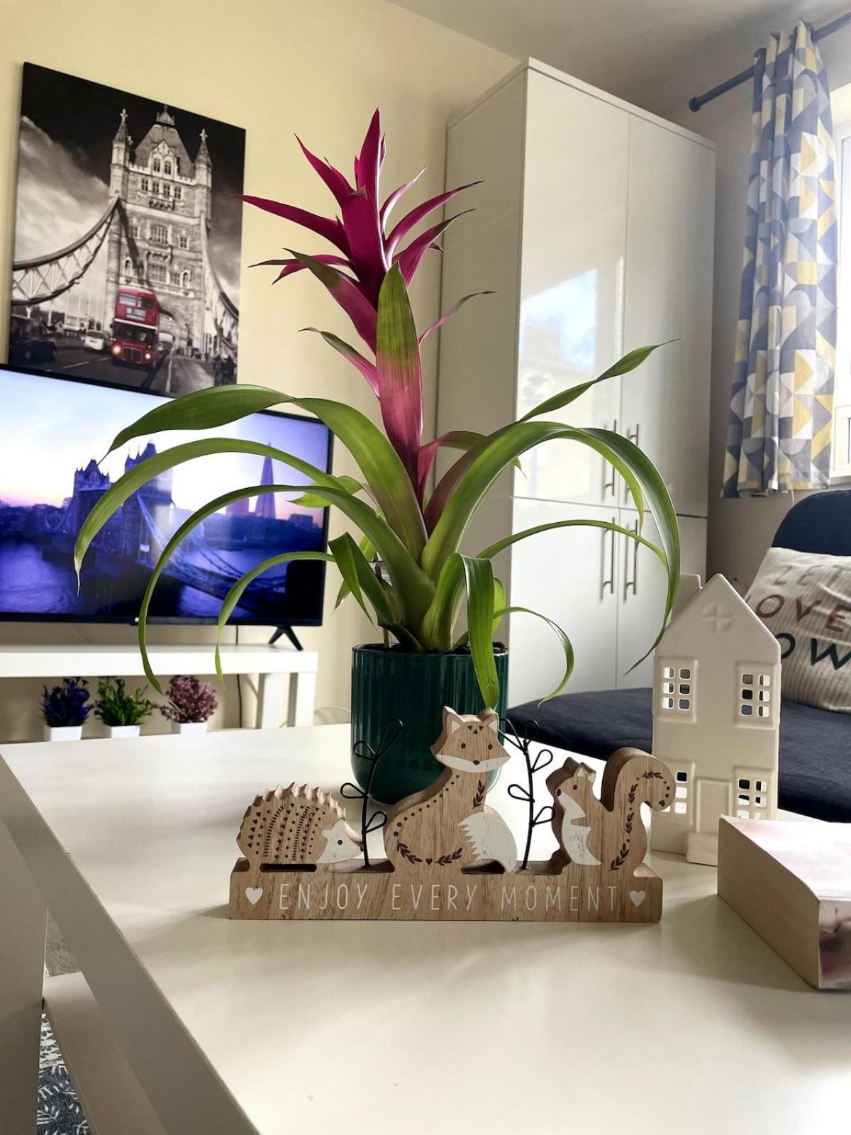 Apartamento Charming Flat In Londres